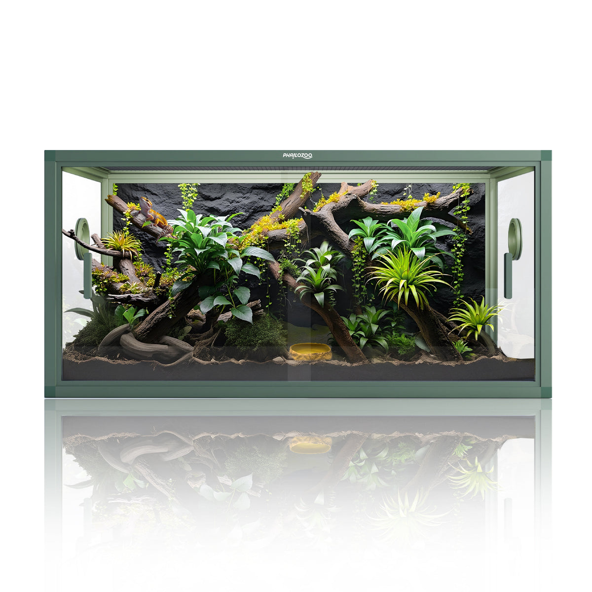 50 Gallon Leopard Gecko & Crested Gecko Enclosure 36x18x18 - Phailozoo