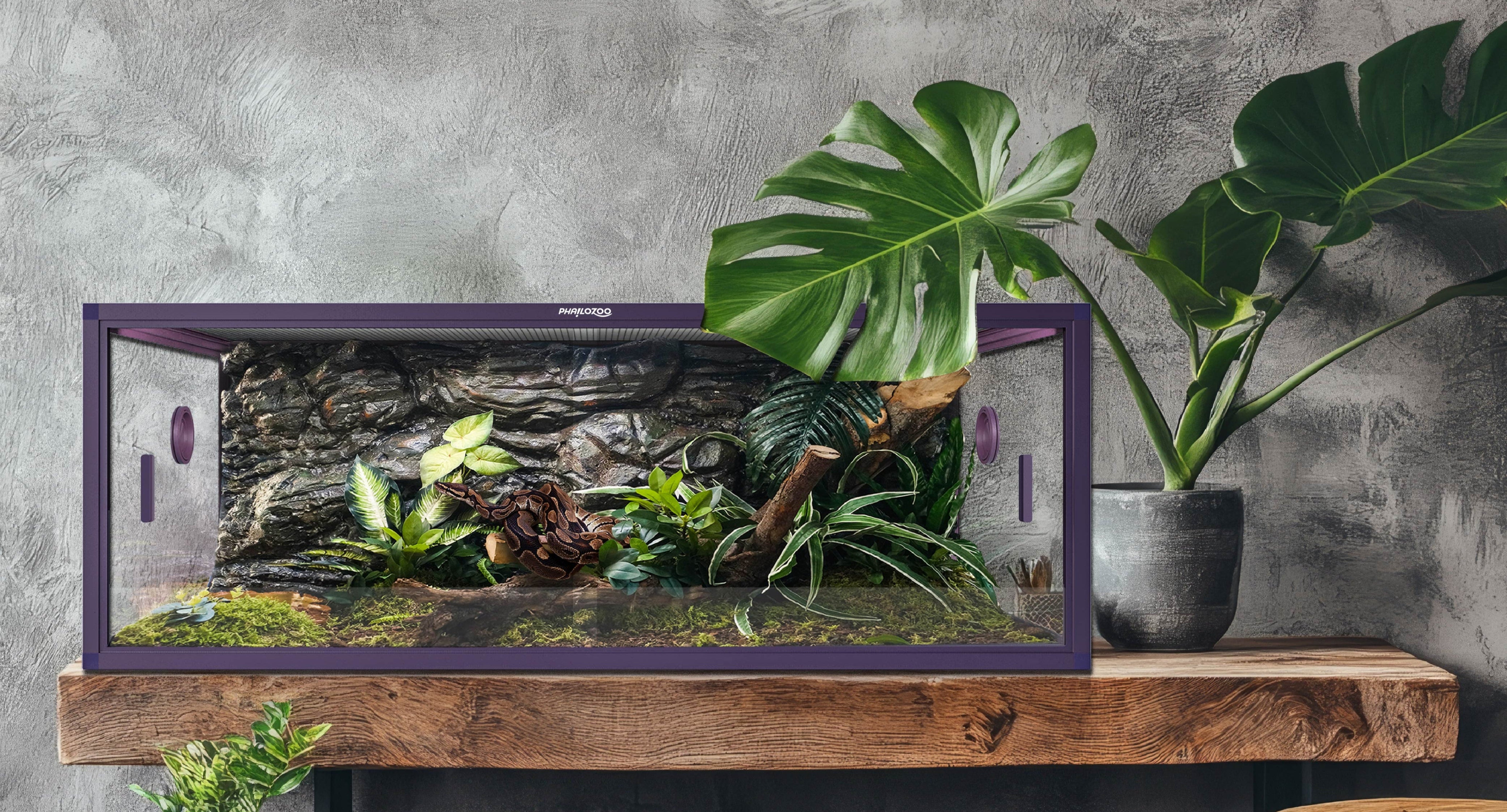 85 gallon snake tank with naturalistic design on a wooden stand against a gray wall.