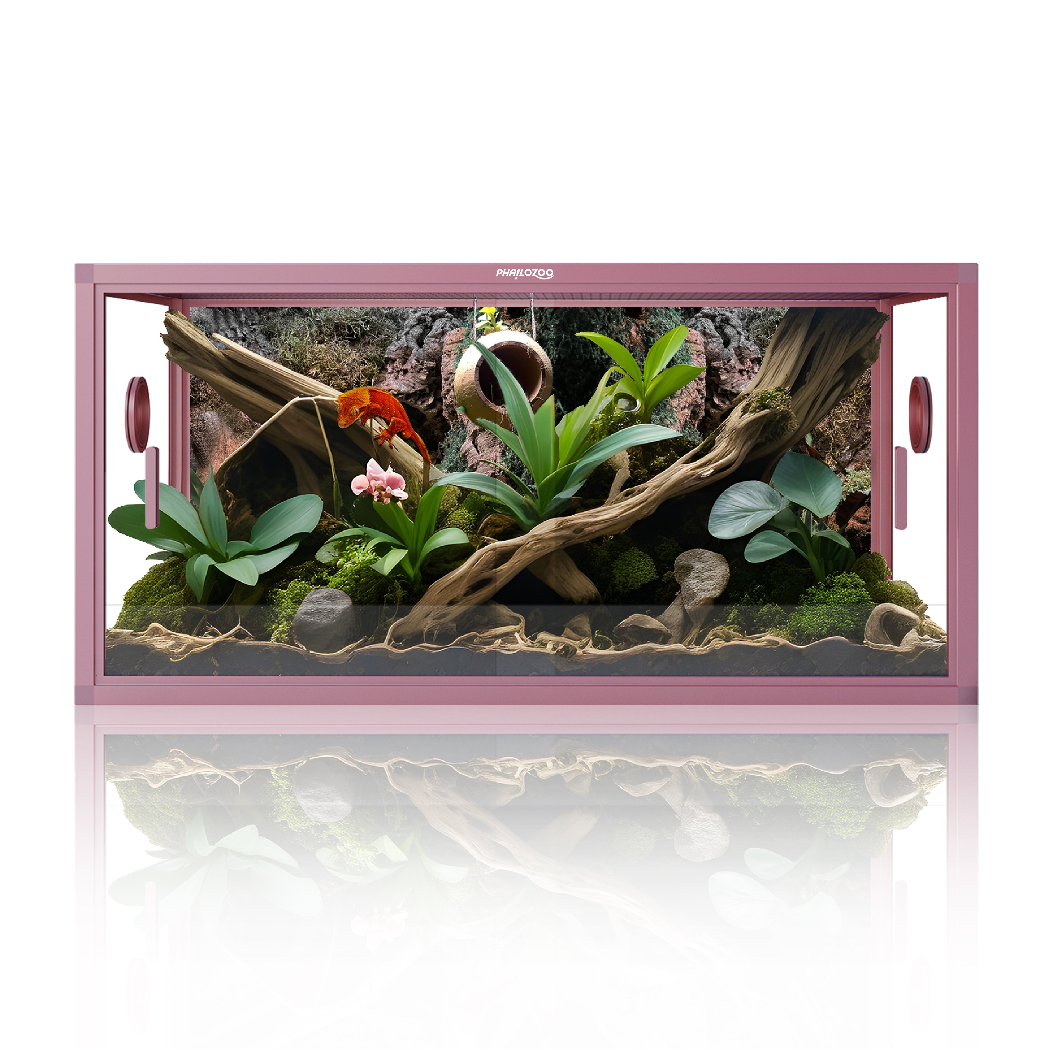 50 Gallon Leopard Gecko & Crested Gecko Enclosure 36x18x18 - Phailozoo