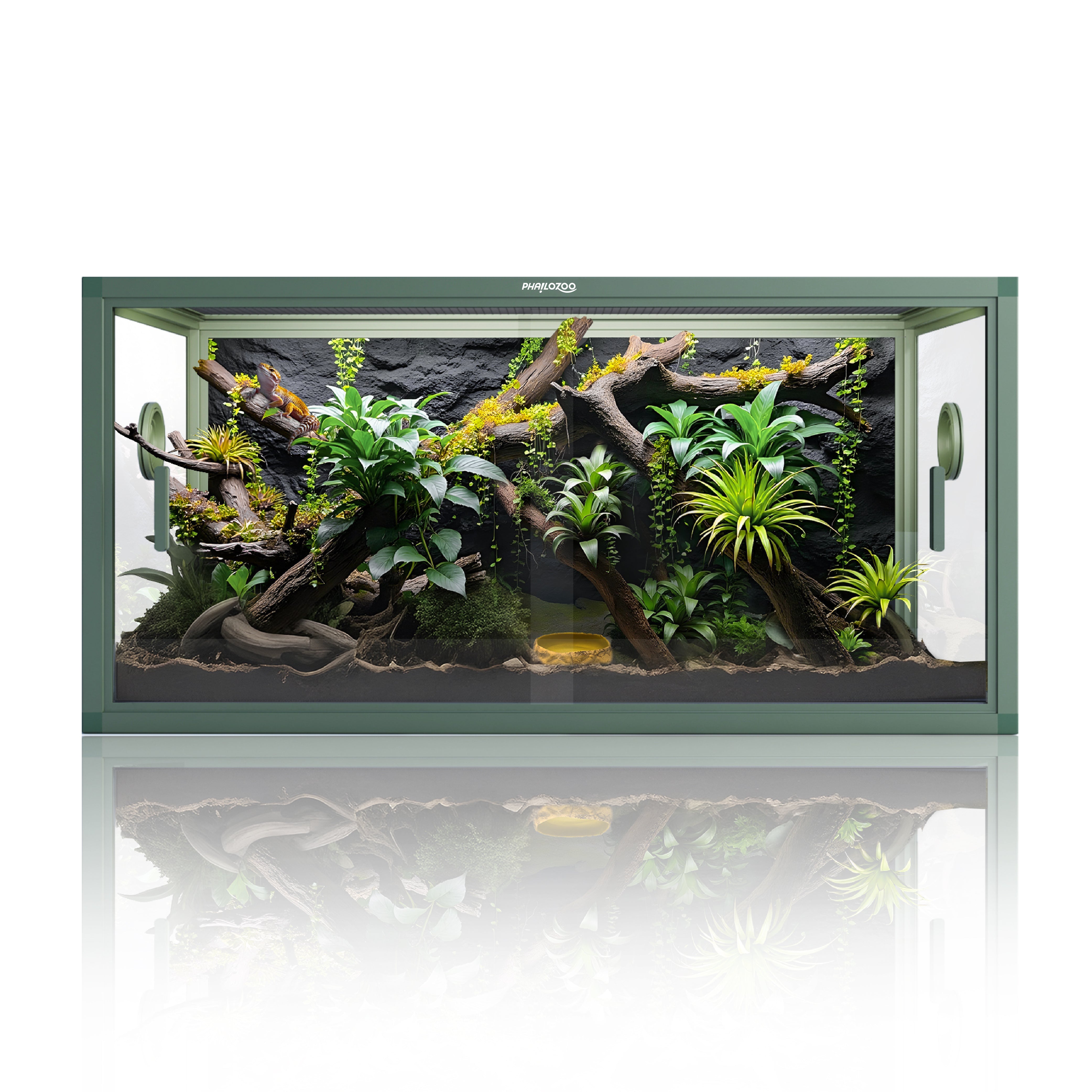 50 Gallon Leopard Gecko & Crested Gecko Enclosure 36x18x18 - Phailozoo