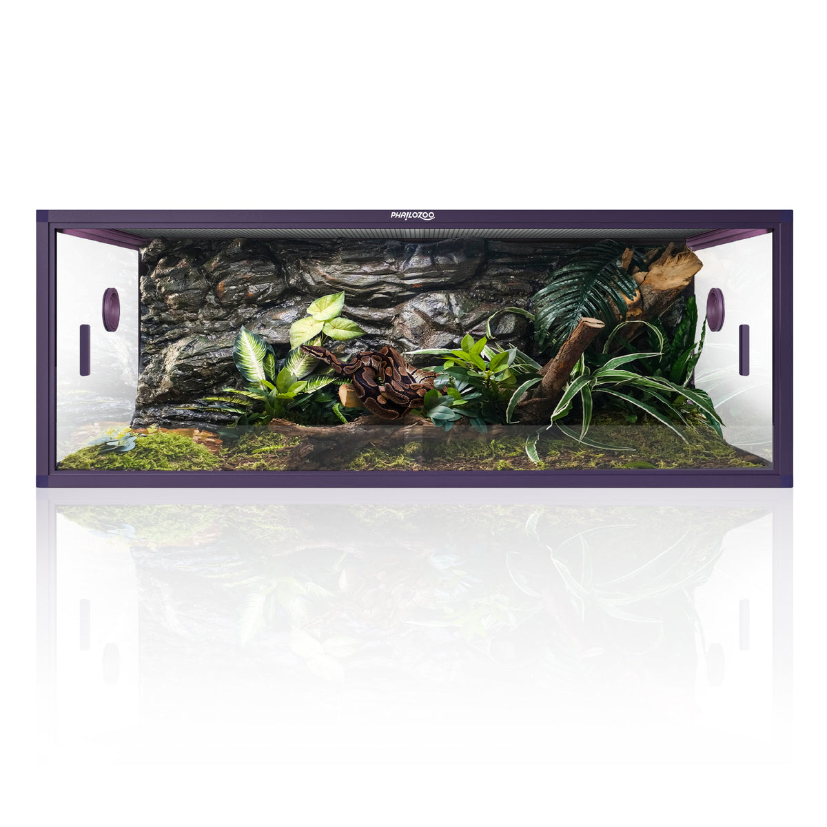 85 Gallon Snake Enclosure 48x24x18 | Ball Python Tank - Phailozoo