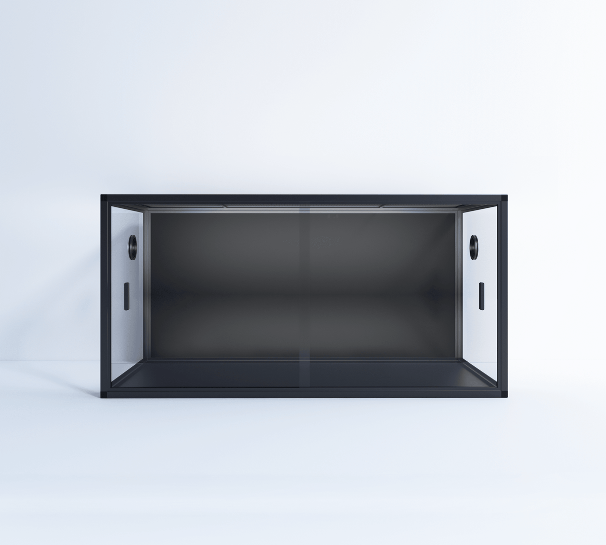 Back panel - Phailozoo