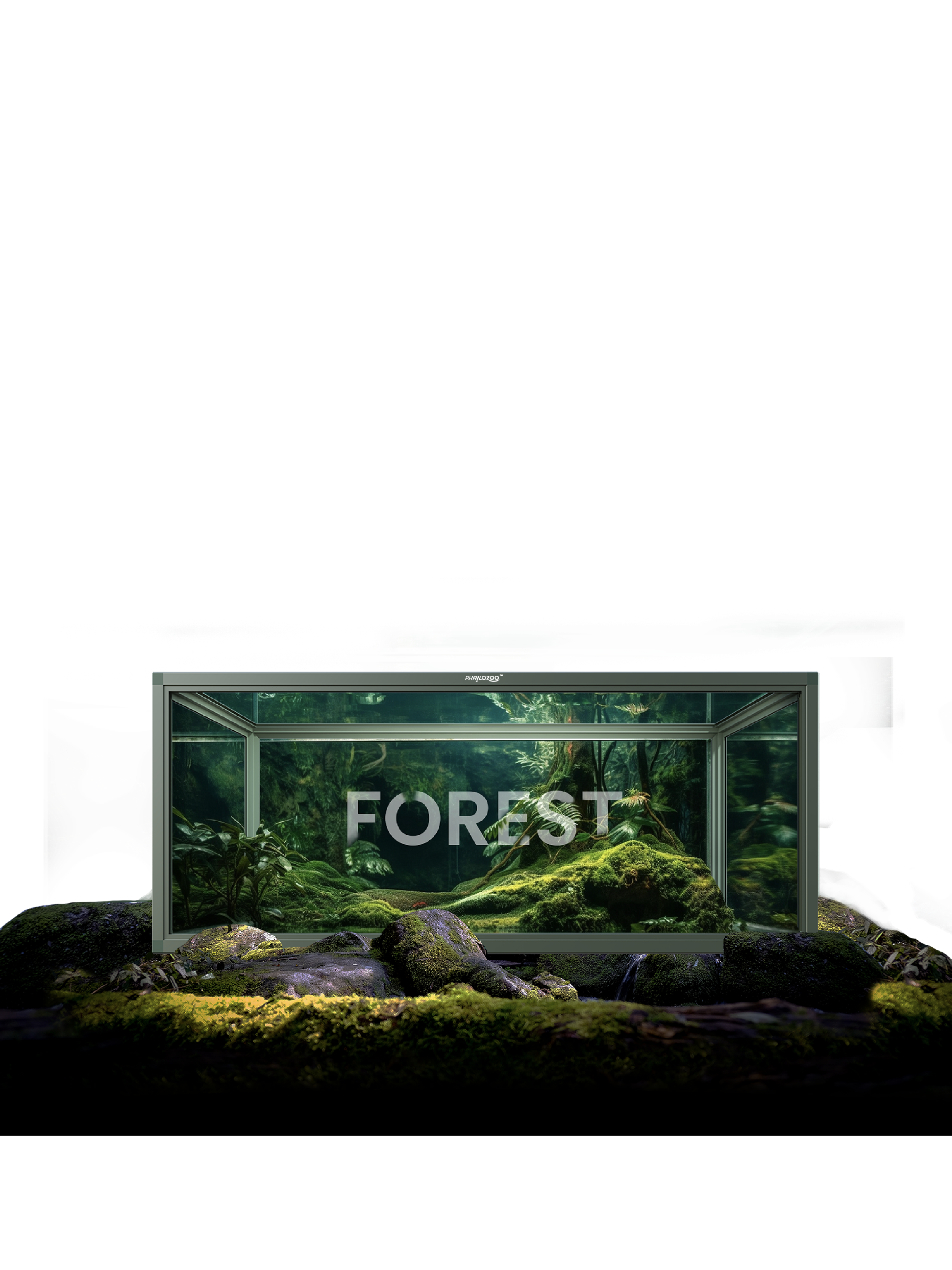50 gallon reptile tank with forest decoration for reptiles in Phailozoo tanks