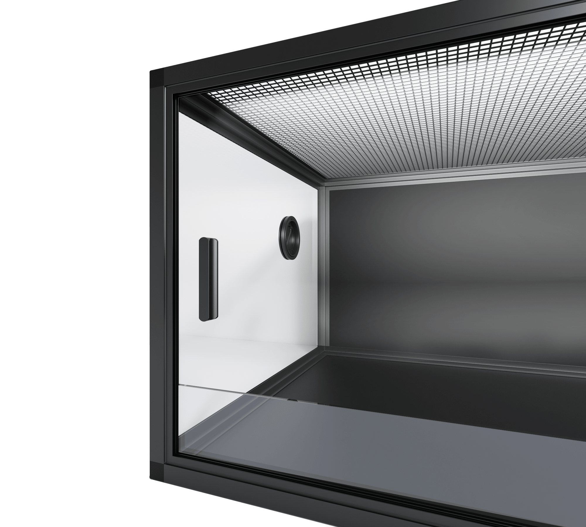 Side Panel - Phailozoo