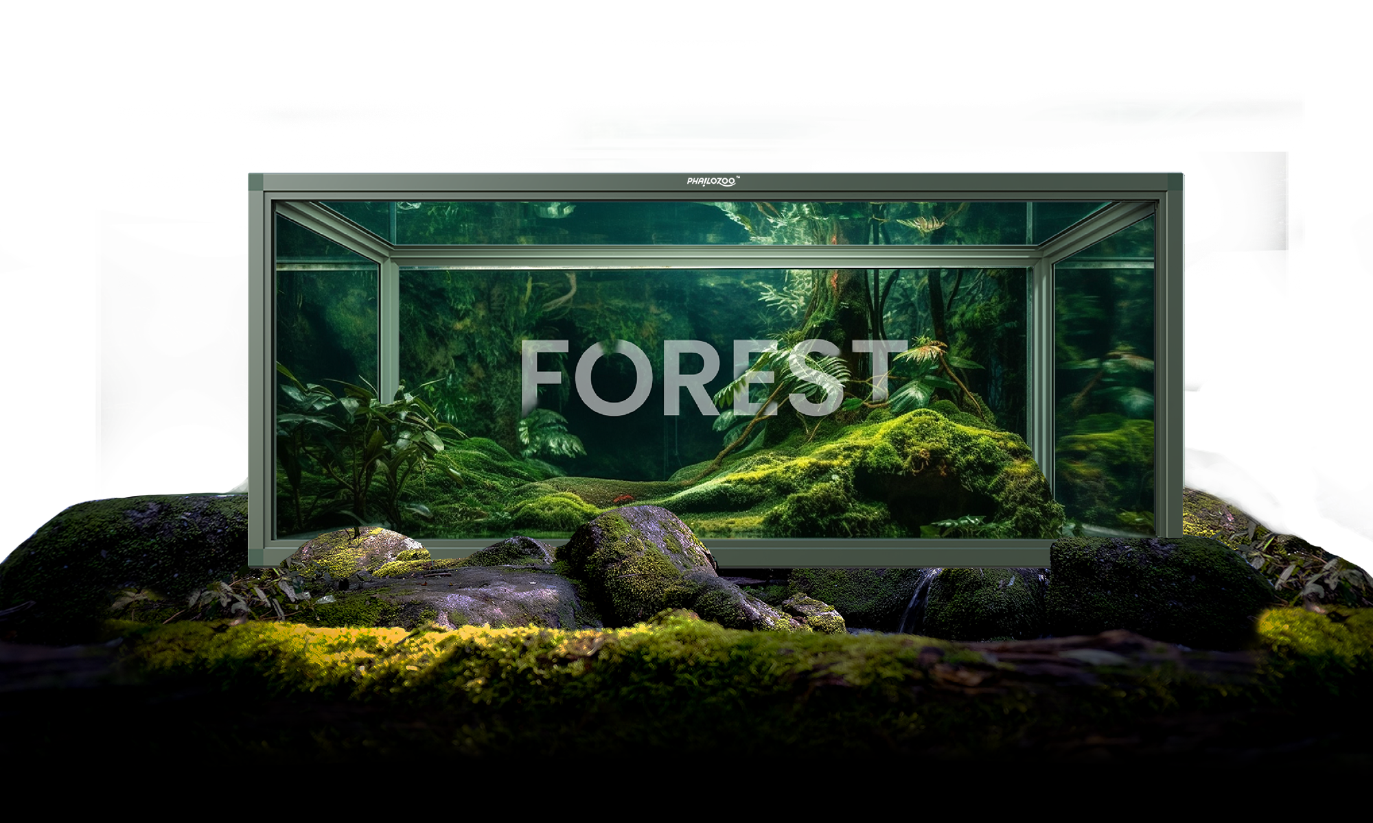 Phailozoo 85 gallon reptile enclosure in a fully bioactive terrariums with flowers, butterflies, plants in a forest and tropical setting