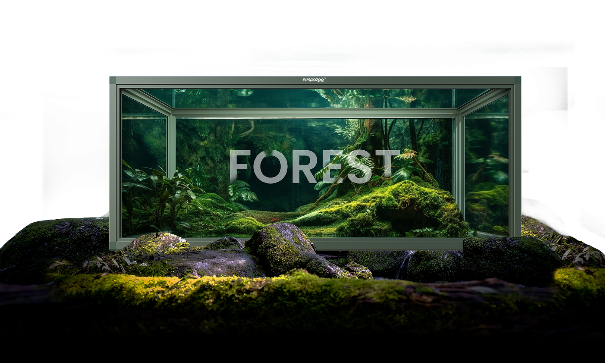Phailozoo 85 gallon reptile enclosure in a fully bioactive terrariums with flowers, butterflies, plants in a forest and tropical settin